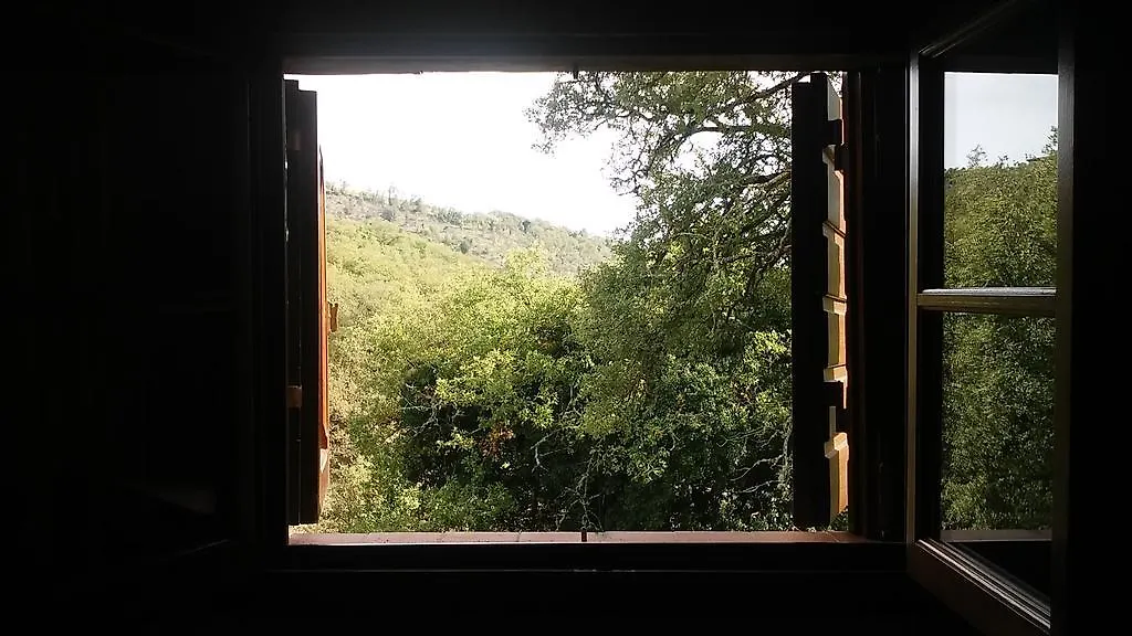 Agriturismo Il Cerreto Hotel Castellina in Chianti Farm stay